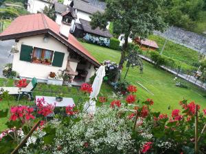 Zahrada ubytování B&B OLTRA