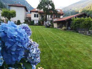 Nespecifikovaný výhled na hory nebo výhled na hory při pohledu z bed and breakfast