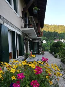 Zahrada ubytování B&B OLTRA