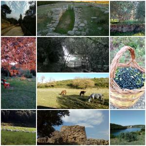 Fotografie z fotogalerie ubytování B&B PIBITZOI v destinaci Nurallào