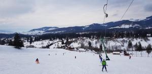 a group of people skiing on a ski lift at Pensiunea Gentiana in Izvoru Mureşului