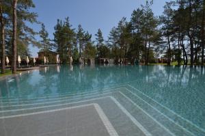 uma piscina com água azul e árvores em Sobi Hotel em Vyshhorod
