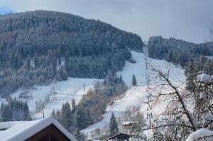 une piste de ski enneigée sur une montagne arborée dans l'établissement Spacious 2 bedroom apartment Zell-am-See town center, à Zell am See 4 autres photos