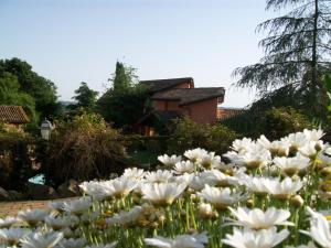 Zahrada ubytování Antica Pietrara B&B