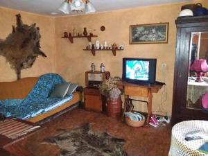 a living room with a bed and a television at Zagroda Zalipie in Gostynin