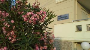 ネアブラスナにあるAngie's Summertimeの建物前のピンクの花の茂み