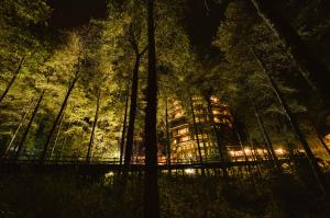 un bâtiment au milieu d'une forêt la nuit dans l'établissement Huilo Huilo Nothofagus Hotel & Spa, à Réserve biologique de Huilo-Huilo