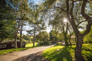 ブロード・ヘブンにあるTimber Hill Self Catering Cedar Lodgesの木々が生い茂る住宅街の未舗装道路