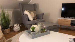 Televízia a/alebo spoločenská miestnosť v ubytovaní Comfort Zone Ostroda BOHO SCANDI