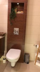 Kúpeľňa v ubytovaní Comfort Zone Ostroda BOHO SCANDI