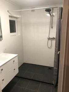 een badkamer met een douche en een wastafel bij VAKANTIE WONING OASE in Breskens