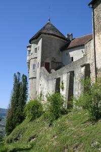 een oud gebouw bovenop een heuvel bij Gîte de campagne Dromard in Sancey-le-Long