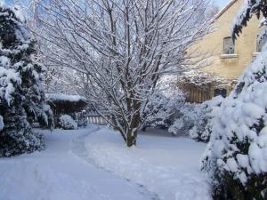 a snow covered yard with a tree in front of a house at apartment Anna in Wilthen