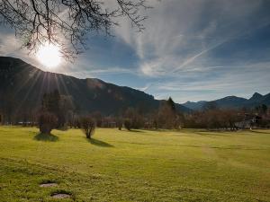 a field of green grass with mountains in the background at Gästehaus Florian in Tegernsee +4 photos