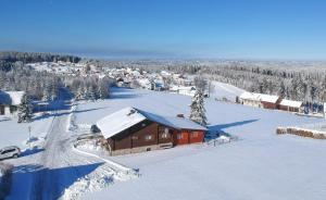 an aerial view of a snow covered village with a barn at Blockhaus-Bärnkopf in Bärnkopf