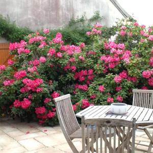 une table en bois avec deux chaises et des fleurs roses dans l'établissement Domaine de la Botterie, à Azay-le-Ferron