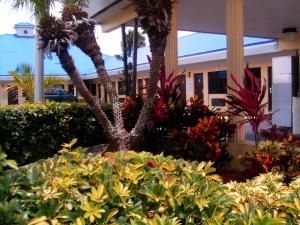 a garden with palm trees and bushes in front of a building at Budget Inn of Okeechobee in Okeechobee