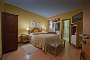 um quarto de hotel com uma cama e uma televisão em Pousada Les Roches em Itaipava