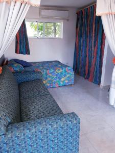 a bedroom with a couch and a bed and a window at Tropical Studio Apartment in Palm-Eagle Beach
