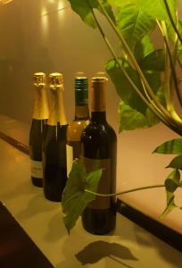 drei Flaschen Wein auf einem Tisch mit Pflanze in der Unterkunft PAMA Hotel in Kampong Chhnang