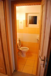La salle de bains est pourvue de toilettes et d'un miroir. dans l'établissement Bouda Matouš - Friesovy boudy, à Strážné