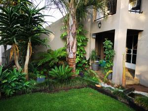 a garden with a palm tree in front of a house at Airport Lodge Guest House in Kempton Park