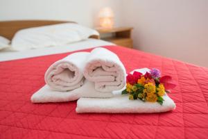 Postel nebo postele na pokoji v ubytování Apartments Petranic