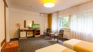 TV a/nebo společenská místnost v ubytování Hotel Herastrau