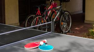Stolní tenis v ubytování Hotel Herastrau nebo okolí