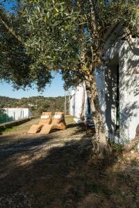 Fotografie z fotogalerie ubytování Casa del Ingeniero , alberca 4 Hab 8 Pers 3 Chimeneas con horno v destinaci Puerto de la Laja