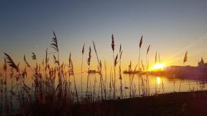 a sunset over a body of water with tall grass at Ferienwohnung "Waldeck" Nahe Messe und Bodensee in Friedrichshafen