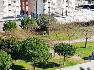 Vonkajšia záhrada v ubytovaní EL EDEN de PLAYA DE GANDIA - Alquiler Familiar.