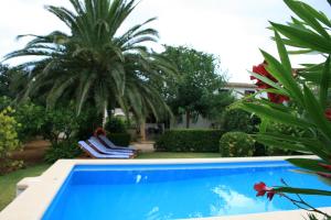 una piscina con 2 sillas y una palmera en Roig Miquel house just 10m driving from Pollensa, en Pollensa