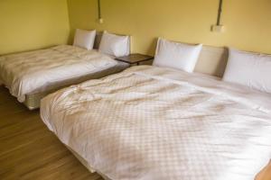 Postel nebo postele na pokoji v ubytování Ruisui Village Homestay