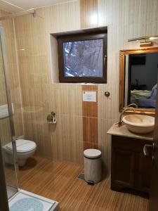 a bathroom with a toilet and a sink and a mirror at Conac Bavaria in Buşteni