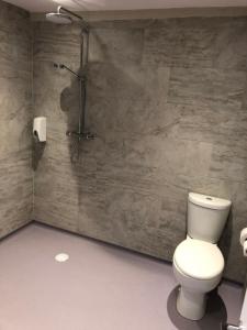 a bathroom with a toilet and a shower at Plum Pudding in Abingdon