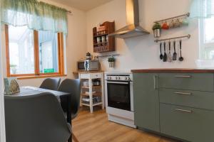 Kuchyň nebo kuchyňský kout v ubytování The apartment - Öbbuhús