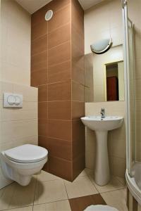 ein Bad mit einem WC und einem Waschbecken in der Unterkunft Arkadia in Kielce