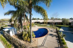 una piscina con una palmera junto a una casa en Ashleigh Court Motor Inn, en Mulwala