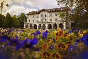 un campo di fiori di fronte a un edificio di Hotel Austria & Bosna a Sarajevo