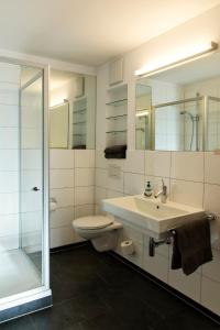 a bathroom with a sink and a toilet and a shower at Ferienwohnung iq-Sports in Bludenz