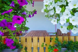 Vonkajšia záhrada v ubytovaní Guesthouse Ella