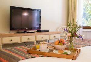 TV a/nebo společenská místnost v ubytování Hotel y Termas Huife