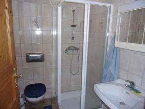 a bathroom with a shower and a toilet and a sink at Biohof/Gästezimmer Adam in Großklein