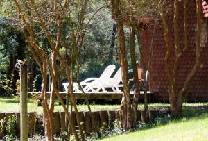 Zahrada ubytování Hotel y Termas Huife