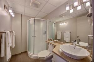 a bathroom with a shower, sink, and toilet at Hôtel du Jardin in Saint-Félicien