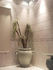 Koupelna v ubytování Real Horizonte Hotel -Motel-