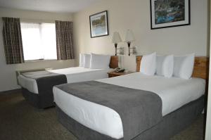 Легло или легла в стая в Driftwood Inn