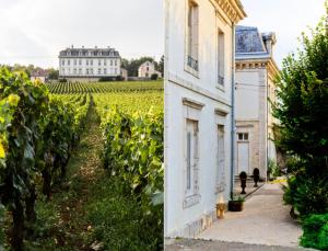 Zahrada ubytování Gites Chateau Comblanchien