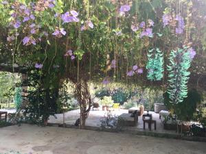Gallery image of Los Naranjos Hotel Boutique in Xalostoc